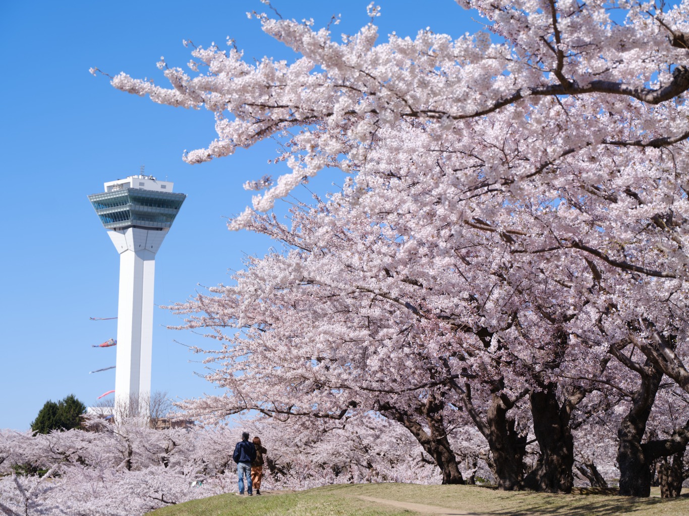 網走を見守る幸せの神様～ニポポ～
